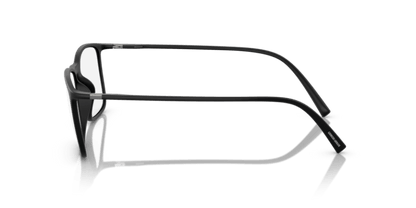 Matte Black - 0AR7244U 8056597827799