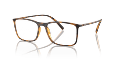 0AR7244U - Giorgio Armani - Tortoise - (Havana 5026) - 53 - 17 - 145 MM - Ardor Eyewear 8056262047354