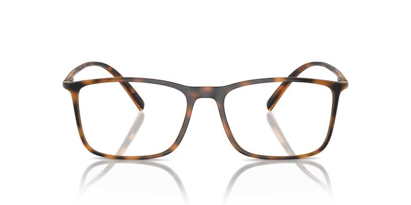 0AR7244U - Giorgio Armani - Tortoise - (Havana 5026) - 53 - 17 - 145 MM - Ardor Eyewear 8056262047354