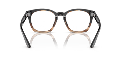 Black/Striped Brown - 0AR7245U 8056597835121