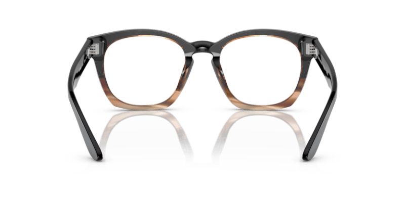 Black/Striped Brown - 0AR7245U 8056597835121