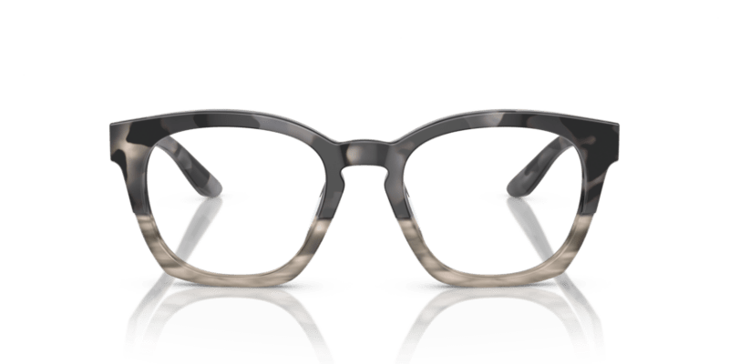 Grey Havana/Striped Grey - 0AR7245U 8056597835190