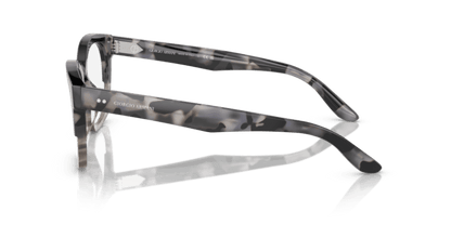 Grey Havana/Striped Grey - 0AR7245U 8056597835190