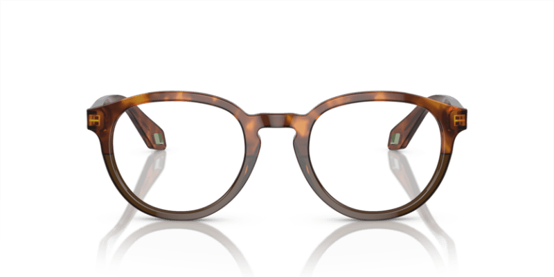 Havana Red/Opal Olive Green - 0AR7248 8056597942188