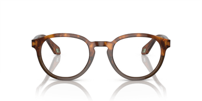 Havana Red/Opal Olive Green - 0AR7248 8056597942188