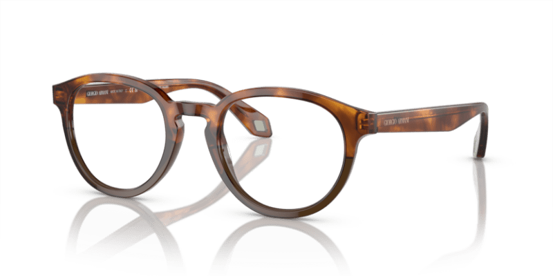 Havana Red/Opal Olive Green - 0AR7248 8056597942188