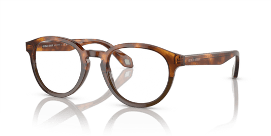 Havana Red/Opal Olive Green - 0AR7248 8056597942188