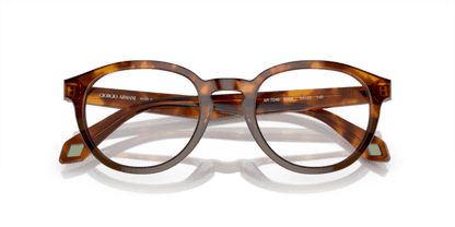 Havana Red/Opal Olive Green - 0AR7248 8056597942188