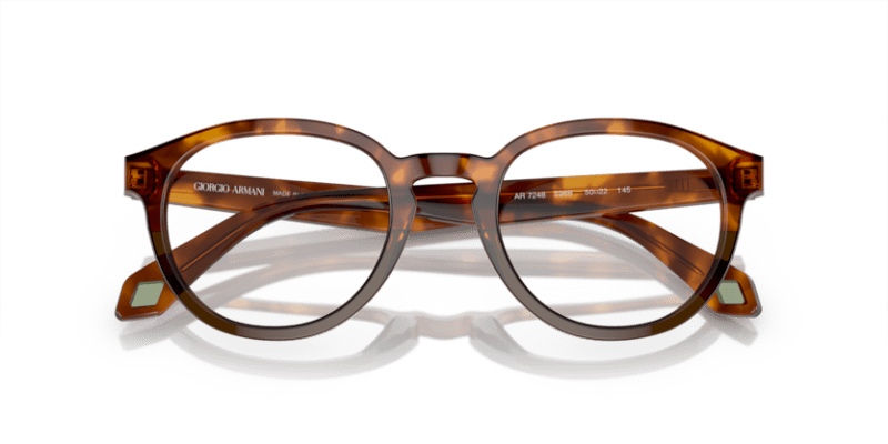 Havana Red/Opal Olive Green - 0AR7248 8056597942188