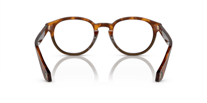 Havana Red/Opal Olive Green - 0AR7248 8056597942188