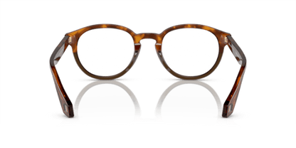 Havana Red/Opal Olive Green - 0AR7248 8056597942188