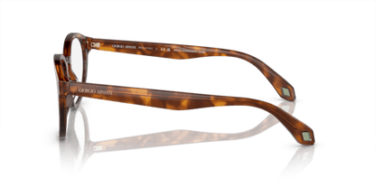 Havana Red/Opal Olive Green - 0AR7248 8056597942188