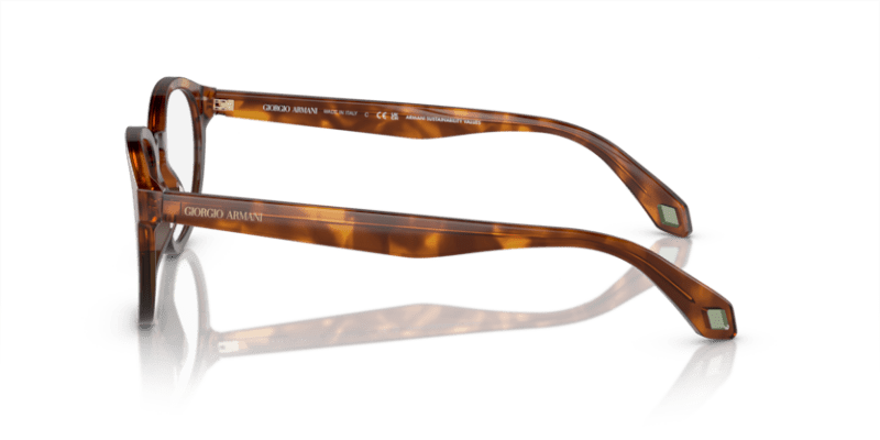 Havana Red/Opal Olive Green - 0AR7248 8056597942188