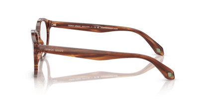 Striped Brown - 0AR7248 8056262303450