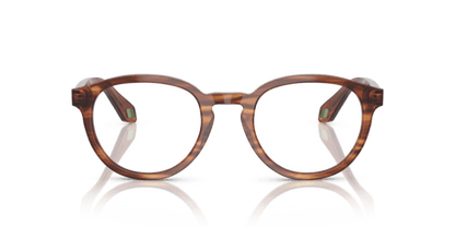 Striped Brown - 0AR7248 8056262303450