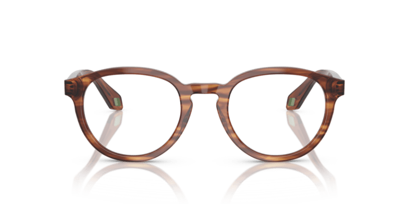 Striped Brown - 0AR7248 8056262303450