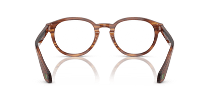 Striped Brown - 0AR7248 8056262303450