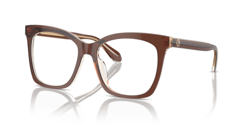 Top Transparent Brown/Honey - 0AR7254U 8056262044810