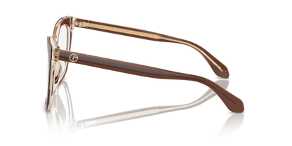 Top Transparent Brown/Honey - 0AR7254U 8056262044810