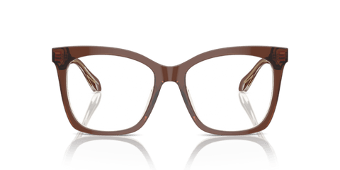Top Transparent Brown/Honey - 0AR7254U 8056262044810
