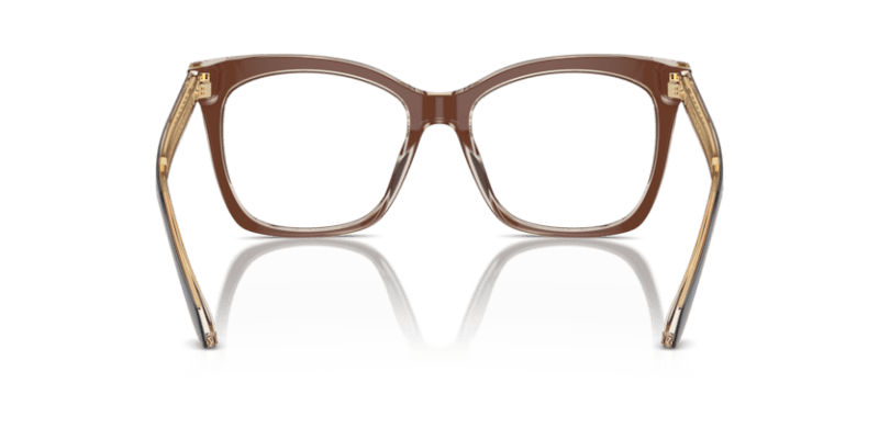 Top Transparent Brown/Honey - 0AR7254U 8056262044810