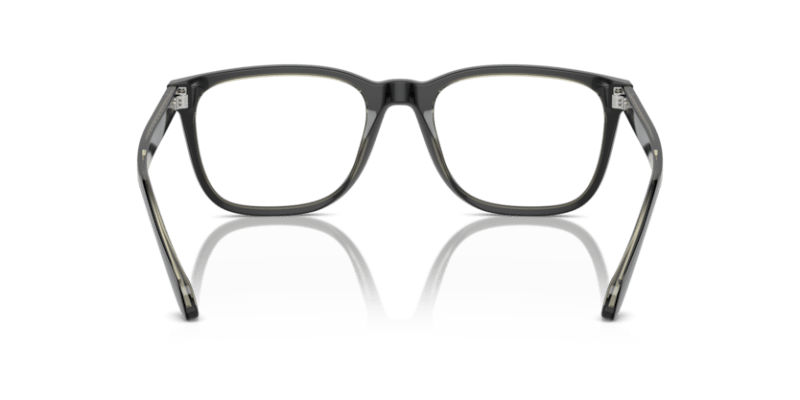 Top Black/Transparent Green - 0AR7255 8056262045053