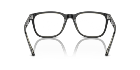 Top Black/Transparent Green - 0AR7255 8056262045053