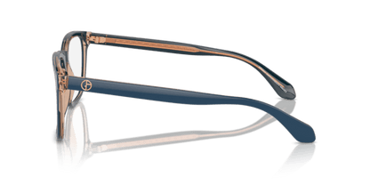 Top Blue/Transparent Brown - 0AR7255 8056262045015