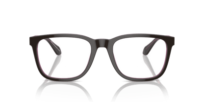 Top Brown/Transparent Pink - 0AR7255 8056262049570