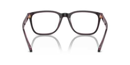 Top Brown/Transparent Pink - 0AR7255 8056262049570