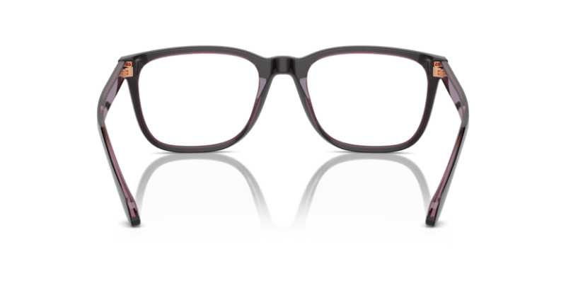 Top Brown/Transparent Pink - 0AR7255 8056262049570