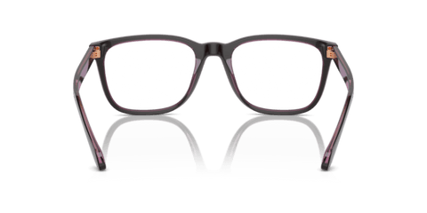 Top Brown/Transparent Pink - 0AR7255 8056262049570