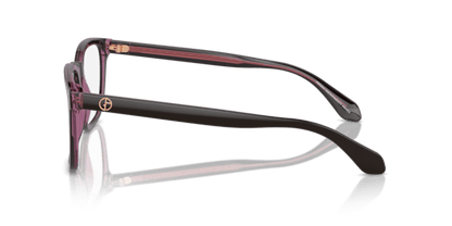 Top Brown/Transparent Pink - 0AR7255 8056262049570