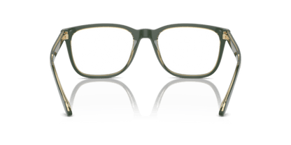 Top Green/Olive Transparent - 0AR7255 8056262045039