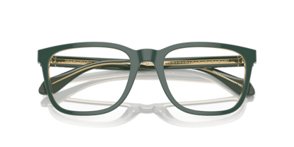 Top Green/Olive Transparent - 0AR7255 8056262045039