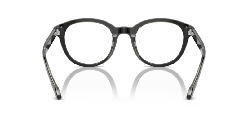 Top Black/Transparent Green - 0AR7256 8056262045183