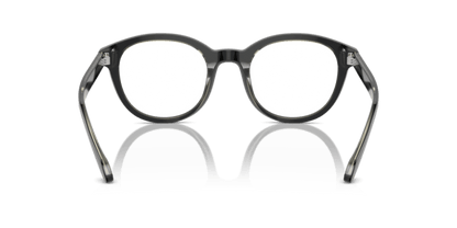 Top Black/Transparent Green - 0AR7256 8056262045183