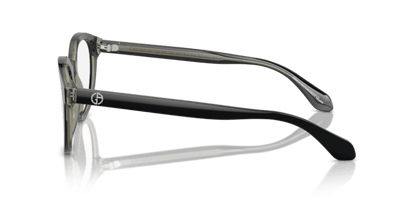 Top Black/Transparent Green - 0AR7256 8056262045183