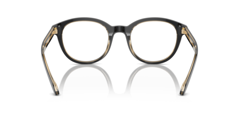 Top Black/Transparent Orange - 0AR7256 8056262045121