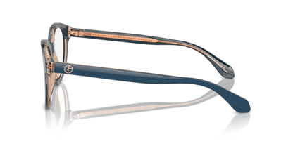 Top Blue/Transparent Brown - 0AR7256 8056262045145