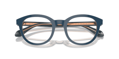 Top Blue/Transparent Brown - 0AR7256 8056262045145