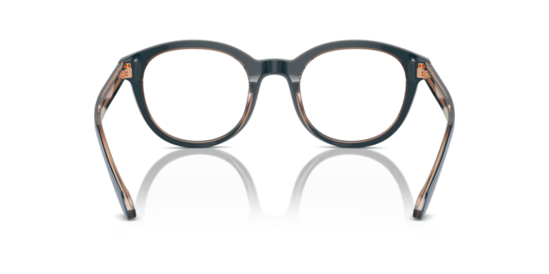 Top Blue/Transparent Brown - 0AR7256 8056262045145