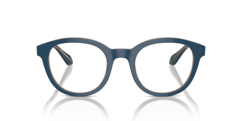 Top Blue/Transparent Brown - 0AR7256 8056262045145