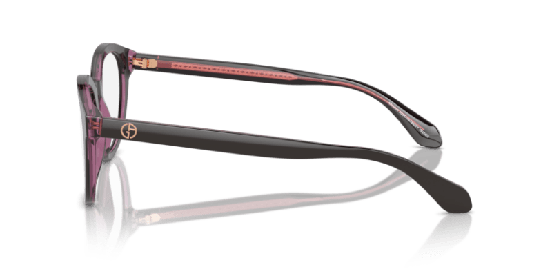 Top Brown/Transparent Pink - 0AR7256 8056262049754