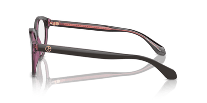 Top Brown/Transparent Pink - 0AR7256 8056262049754