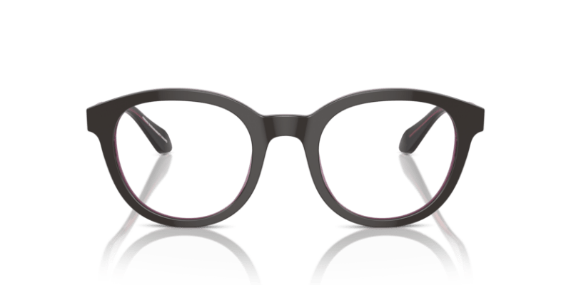 Top Brown/Transparent Pink - 0AR7256 8056262049754