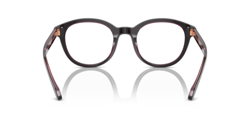 Top Brown/Transparent Pink - 0AR7256 8056262049754