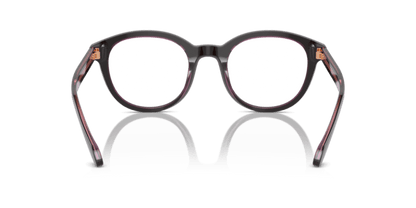 Top Brown/Transparent Pink - 0AR7256 8056262049754