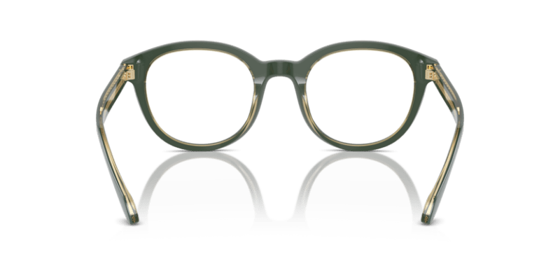 Top Green/Olive Transparent - 0AR7256 8056262045169