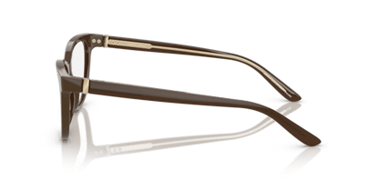 Brown - 0AR7263 8056262223130